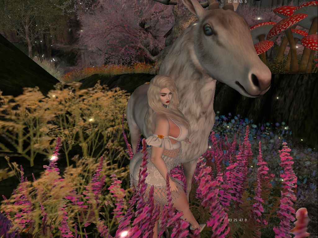 Original 5f3b5f4a73ed17285f381786