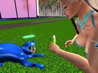 Small 5f9d03b1289dd2598a7c0743