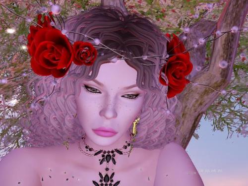 Web 5cb4316ed9859c2dad000001