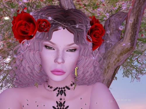 Web 5cb4318f73ed1755e8000001