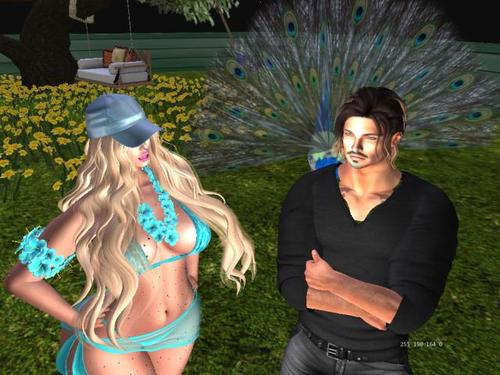 Web 5cbc1fe8d9859c6e78000001