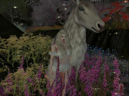 Web 5f3b5f0773ed17256f492d51