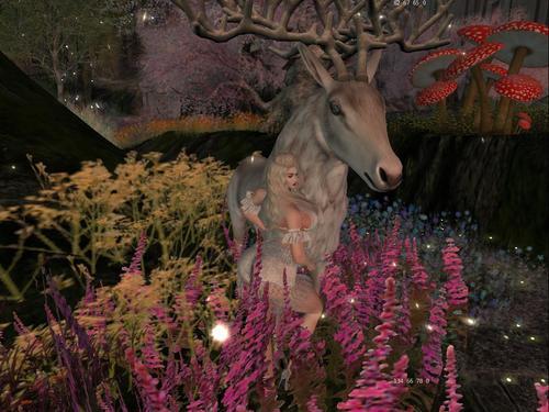 Web 5f3b5f6bd9859c12fd3bdb74