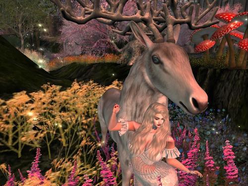 Web 5f3b5fa4d9859c1628c29abb