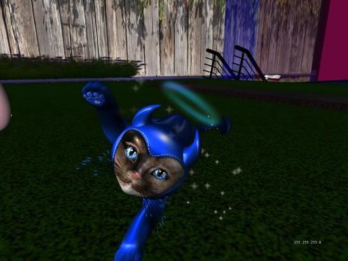 Web 5f9d04d7d774f813928df097