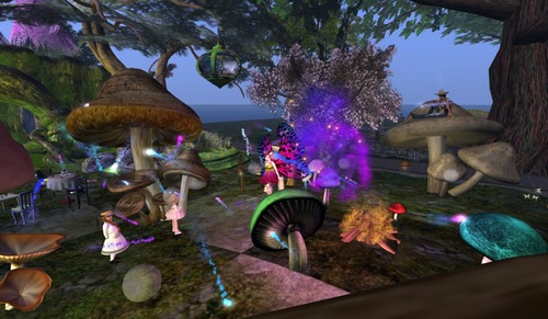 Web 50233239bfa7053ddf000001