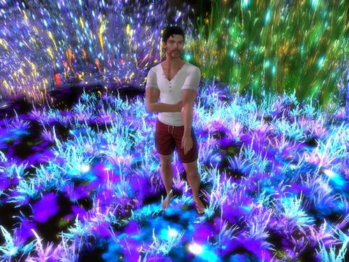 Web 5c6c55cf289dd27c6f000001