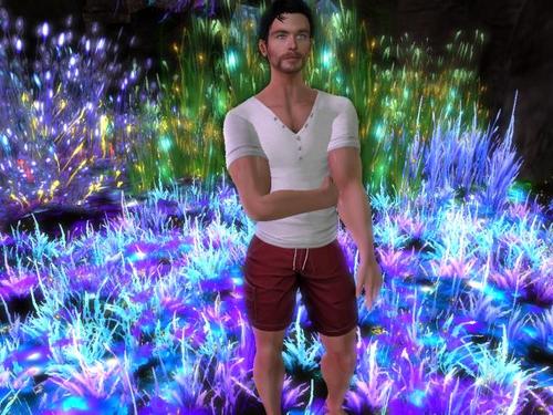 Web 5c6c55e3d9859c40e1000001