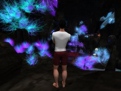 Web 5c6c57ead774f82059000001