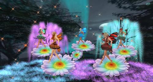 Web 5a2b058cd774f82c80000001