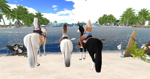 Web 63eafd463a202d773a67cfea