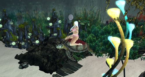 Web 641deaa3c3f436268892d406