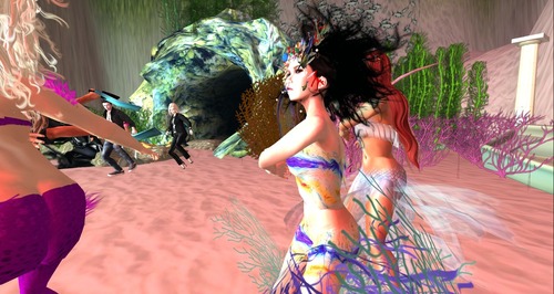 Web 51f3126def560a6e14000001