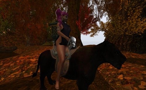 Web 54240f0fa73e217b1c000001