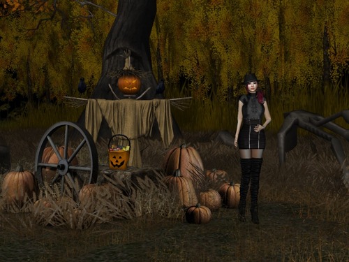 Web 525abf135dfbfc439e000001