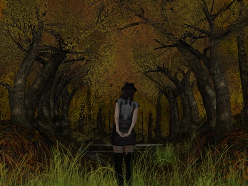 Web 525ac4193663ce39dc000001