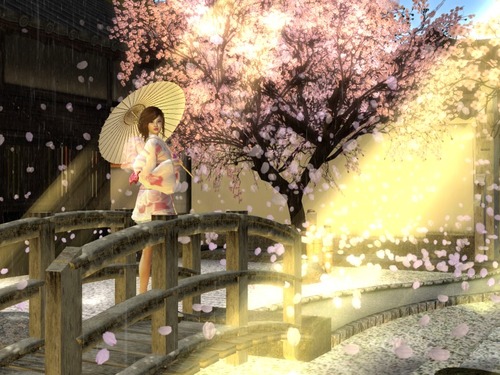 Web 52655501a434fd316e000001