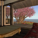 Thumb 520875399be4cc553b000001