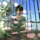 Thumb 58358585b713f778a3000001