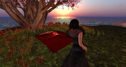 Web 51e1afadc566ff725c000001