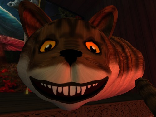 Web 5014a3d56b48ac016c000001