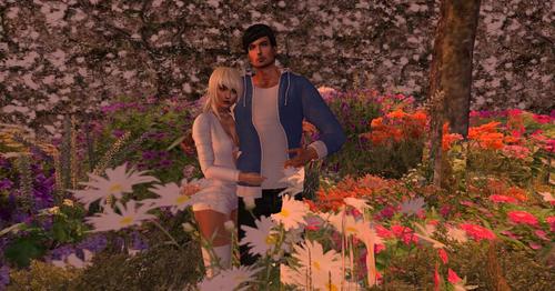 Web 5a591025289dd231f4000001