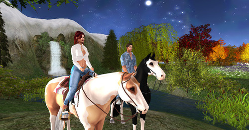 Web 64404438fb19207e2407d38c