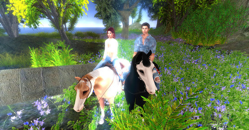 Web 6440451ca69bad78d6902c1d