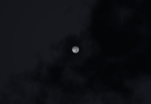 Web 5176680a00ce383986000001