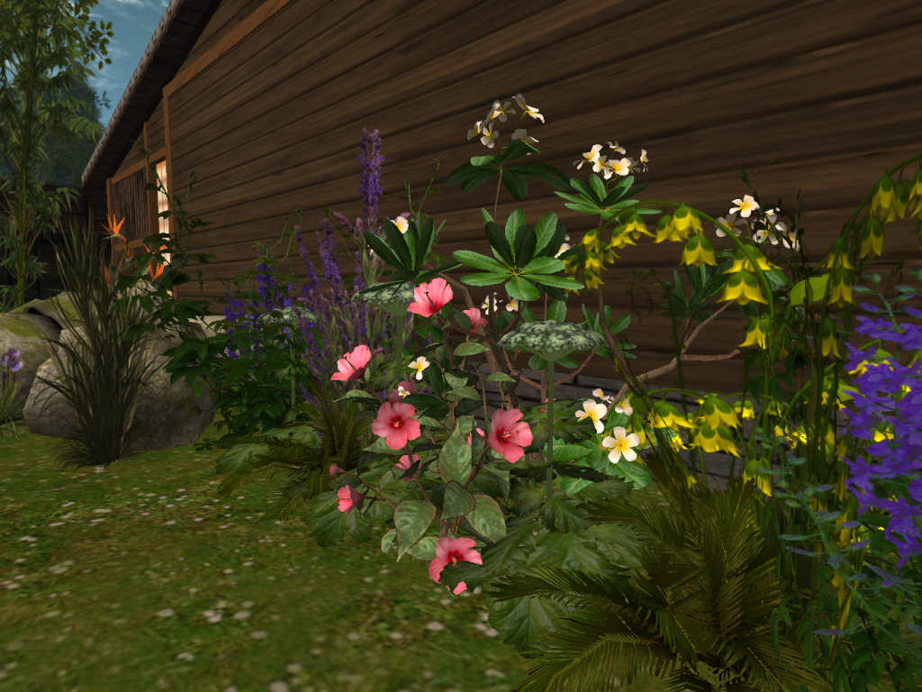 Original 6521d62b9dd92777b1c468df