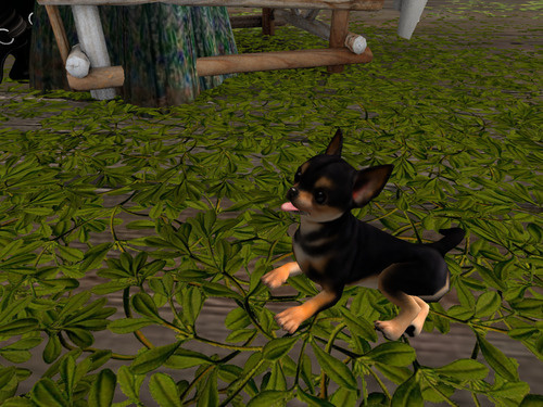 Web 64c3f5026ed22a1c10441051