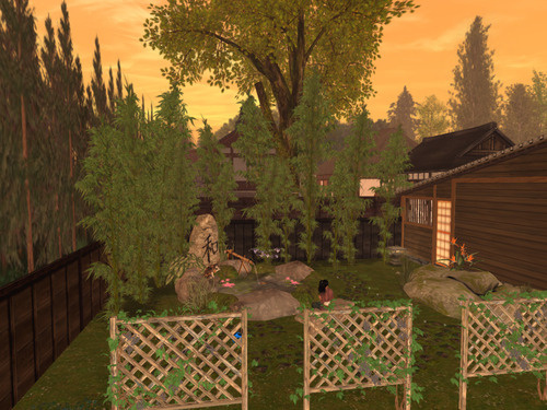 Web 64e0edbf0de0ad23e377c57b