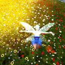 Thumb 601e813e16b5b11d69f6505c