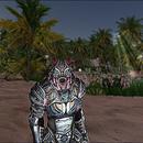 Thumb 60cf22463119c0315381b568