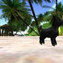 Thumb 60d0a33bcb328721a651e844