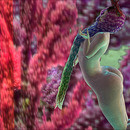 Thumb 664825509f2bcf058eca7b7b