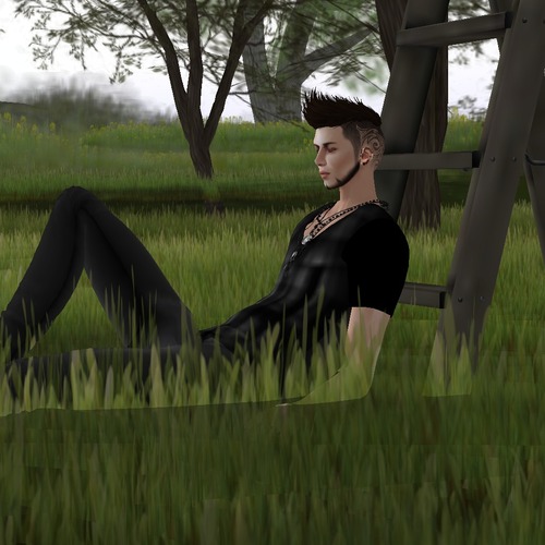 Web 530500c08da5724774000001