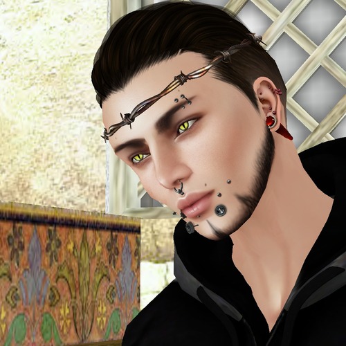 Web 530731048da5727f32000001