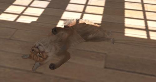 Web 5a4dd5aad774f84186000001