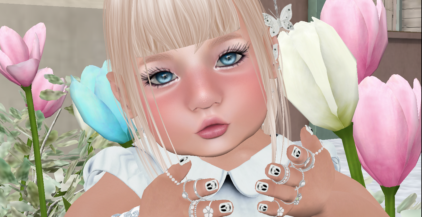 Original 5c31505273ed177d86000001