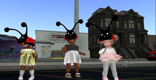 Web 5bba603b73ed173b84000001