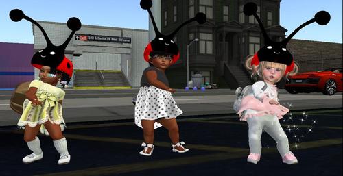 Web 5bba612dd9859c35f5000001