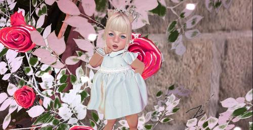 Web 5c3146e9289dd24e5c000001