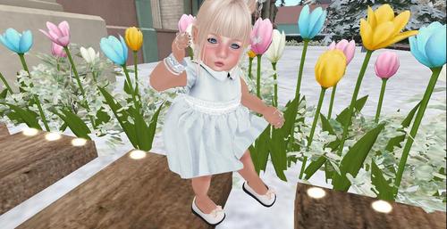 Web 5c314f0773ed1772e0000001