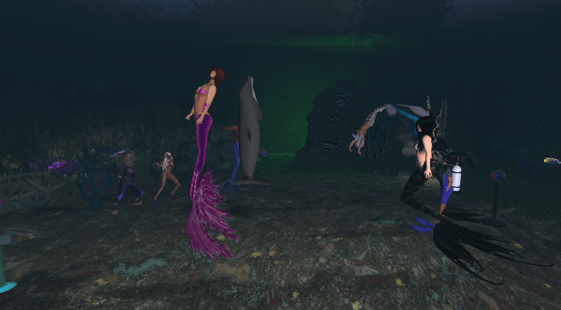 Original 54c40113f8a1ec29d6000001