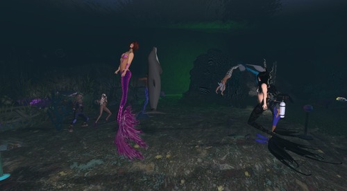 Web 54c40113f8a1ec29d6000001