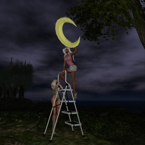 Web 57d57701f8a1ec4010000001