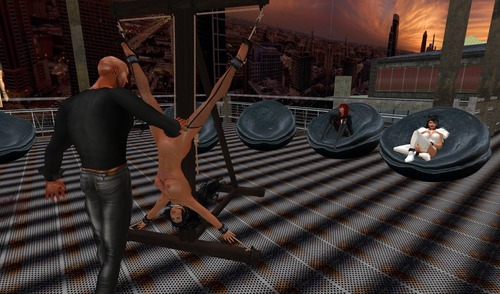 Web 53e53fb1a73e211cdb000001