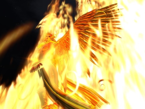 Web 4faf290dc948402aeb000001