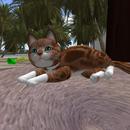 Thumb 5a170368d774f830ad000001